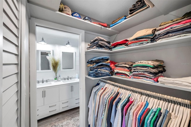 walk in closet with sink and wood-type flooring