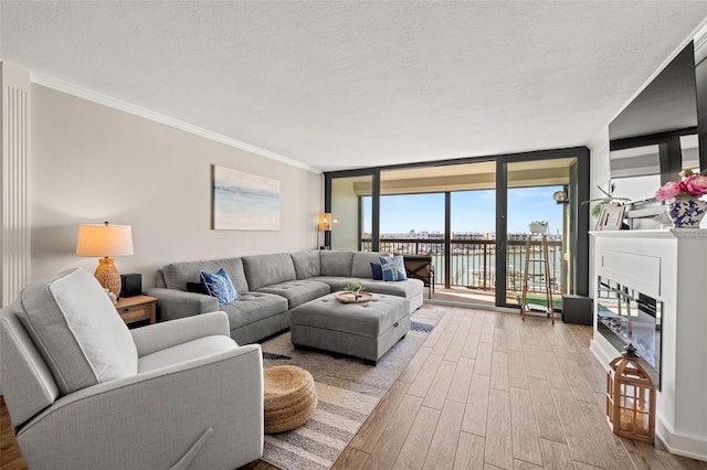 living room featuring a textured ceiling, a wall of windows, and crown molding