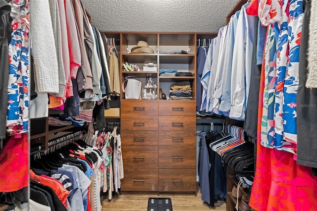 spacious closet featuring light hardwood / wood-style flooring