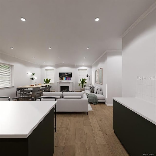 living room featuring light hardwood / wood-style floors and crown molding