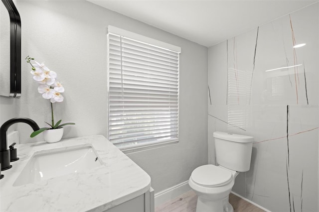 bathroom featuring vanity, toilet, and wood-type flooring