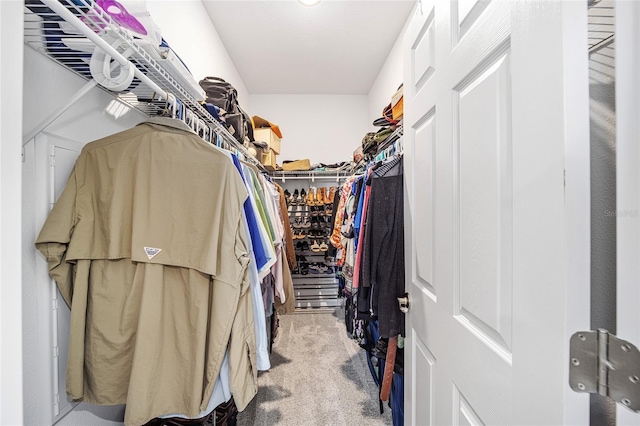 spacious closet with light carpet