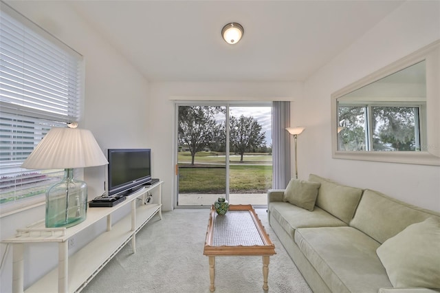 living room featuring light colored carpet