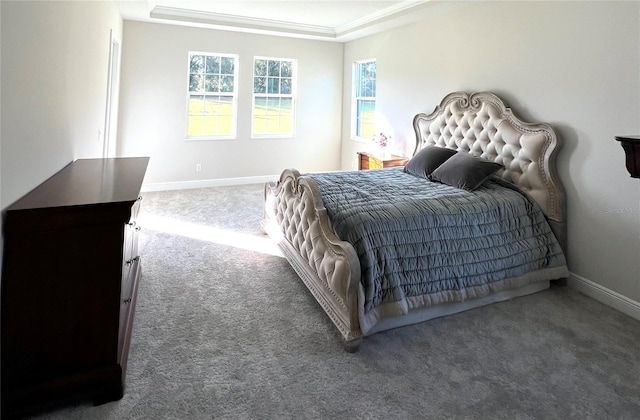 bedroom with dark colored carpet and a tray ceiling