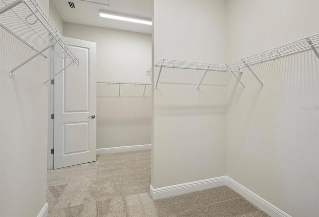 spacious closet featuring light colored carpet