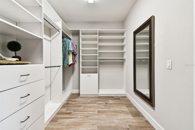 5226 Lake Venice Dr, Wimauma, FL 33598 - spacious closet featuring wood finish floors