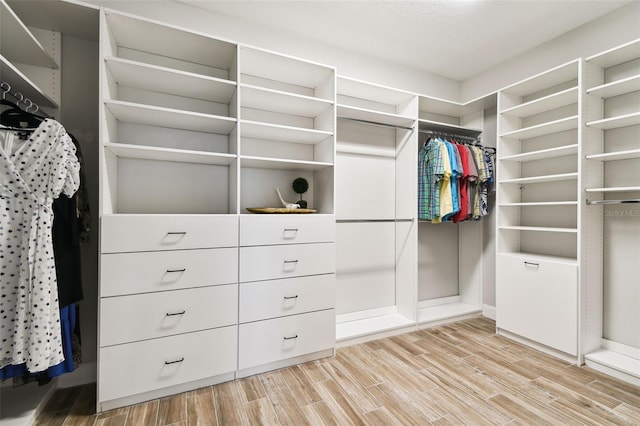 5226 Lake Venice Dr, Wimauma, FL 33598 - walk in closet featuring light wood-style floors