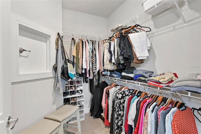 walk in closet featuring carpet floors