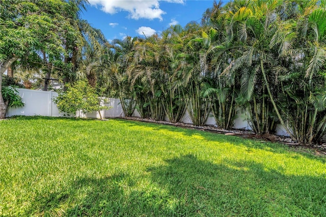 2246 Fiesta Dr, Sarasota, FL 34231 - view of fenced backyard