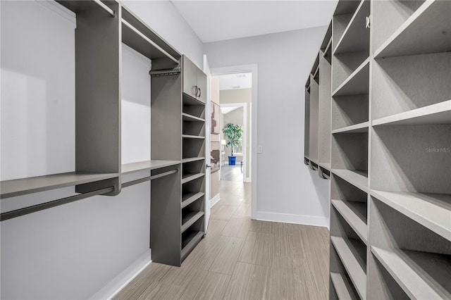 2246 Fiesta Dr, Sarasota, FL 34231 - walk in closet with light wood-style flooring
