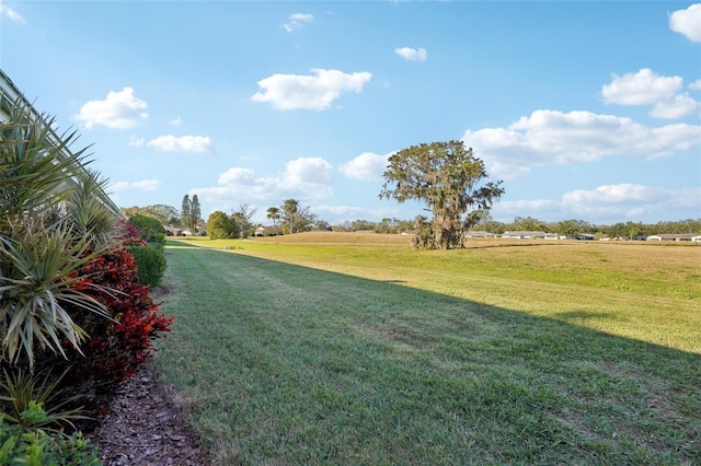 view of yard featuring a rural view