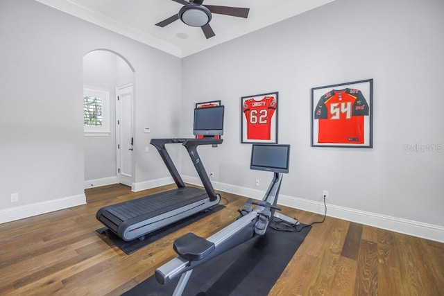 exercise room with wood-type flooring, ceiling fan, and ornamental molding