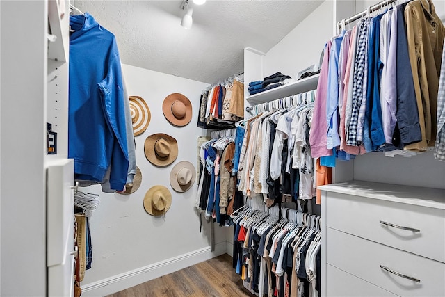 walk in closet featuring dark hardwood / wood-style floors