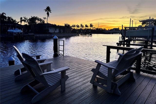 dock area with a water view