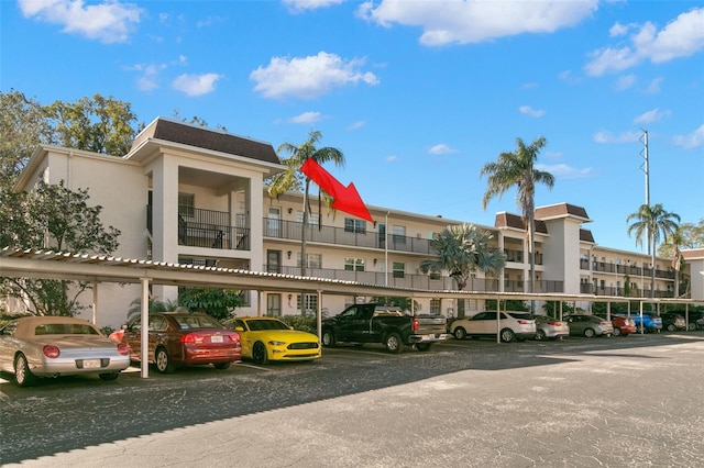 831 Maple Ct Unit 303, Dunedin, FL 34698 - photo 1