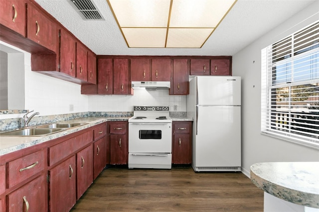 831 Maple Ct Unit 303, Dunedin, FL 34698 - kitchen featuring dark wood-style flooring, a sink, white appliances, under cabinet range hood, and visible vents
