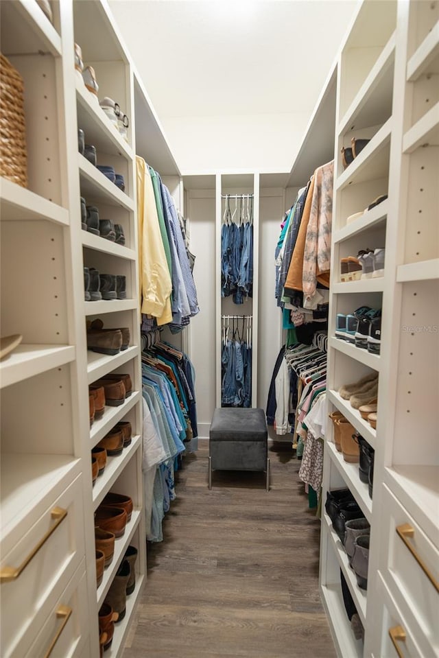 walk in closet with dark hardwood / wood-style flooring