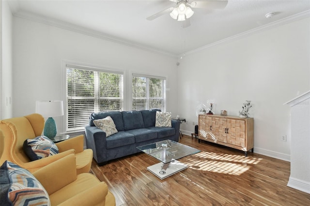 living room with wood-type flooring, ceiling fan, and ornamental molding