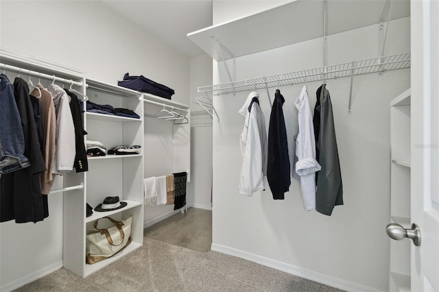 spacious closet featuring light colored carpet