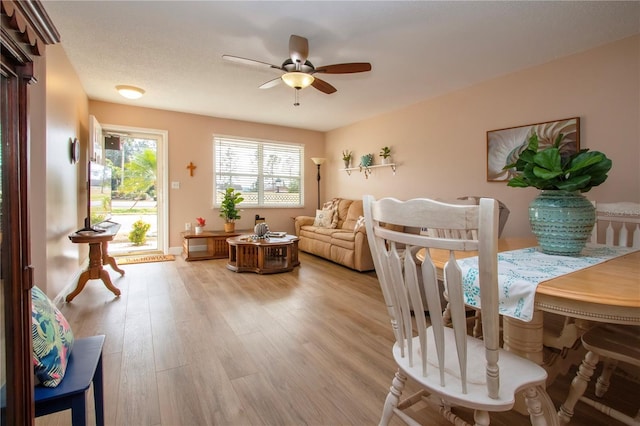 living area featuring a ceiling fan and light wood-type flooring