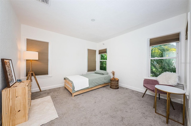 carpeted bedroom with multiple windows