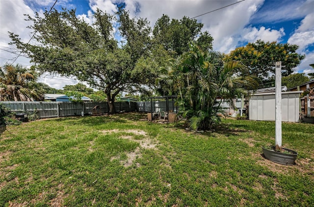 view of yard featuring a shed