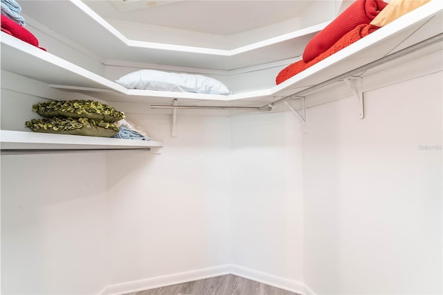 spacious closet with hardwood / wood-style floors