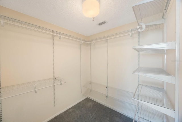 walk in closet with carpet flooring