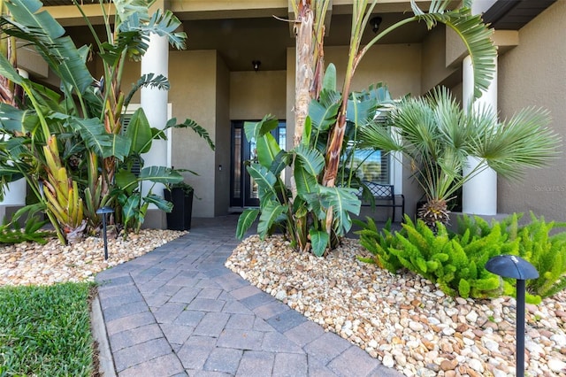 view of exterior entry featuring stucco siding