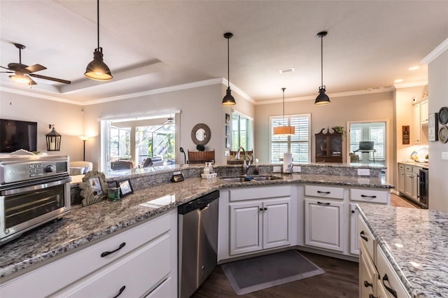 kitchen with a sink, plenty of natural light, dark wood-type flooring, and stainless steel dishwasher