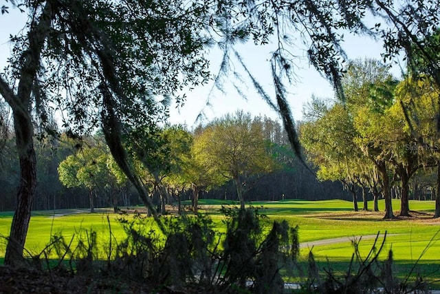 view of community featuring a yard