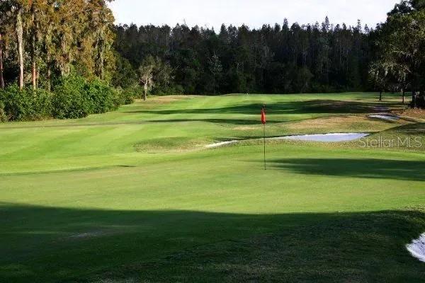 view of home's community with view of golf course, a view of trees, and a lawn