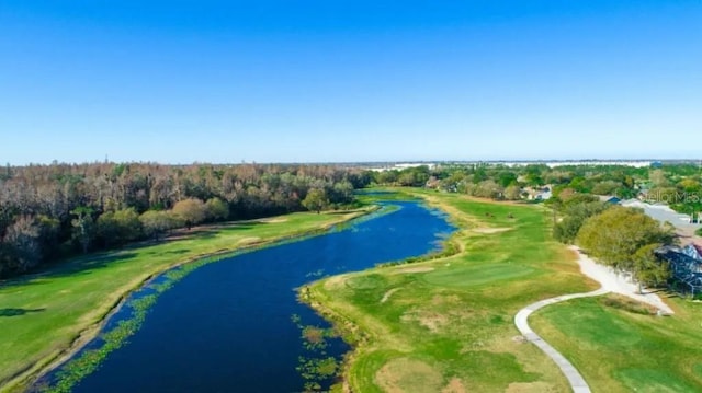 birds eye view of property with a water view and a forest view