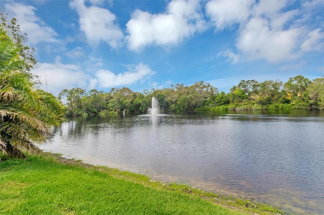 water view