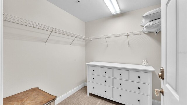 spacious closet with light colored carpet