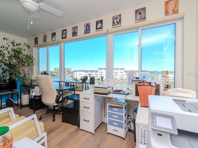 office area featuring ceiling fan and light hardwood / wood-style floors