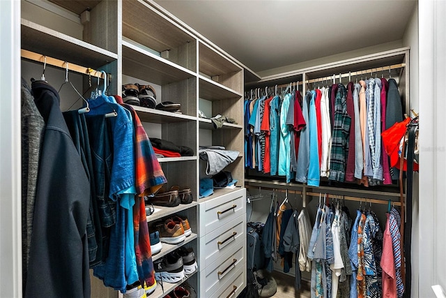 view of spacious closet