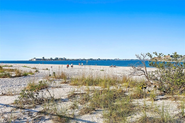 water view featuring a beach view