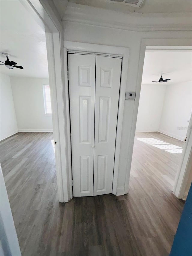 corridor featuring hardwood / wood-style floors