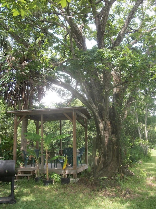 view of yard featuring a deck