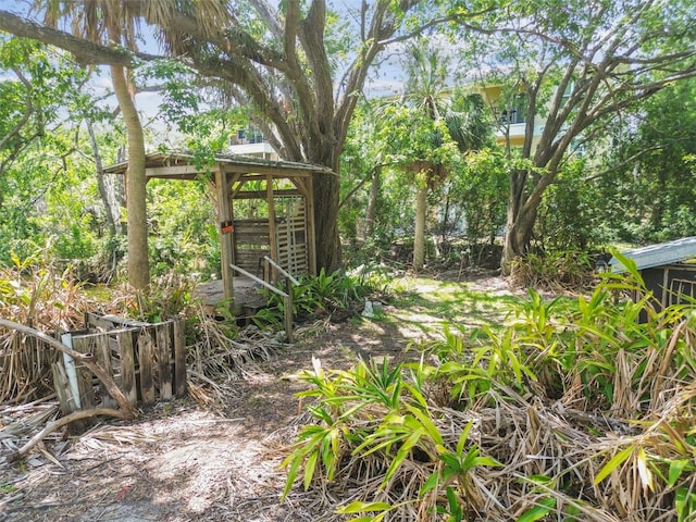 6420 Oelsner St, New Port Richey, FL 34652 - view of yard featuring a gazebo