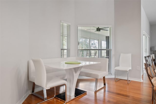 dining room with wood-type flooring