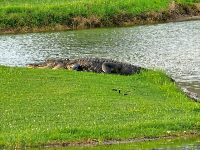 property view of water