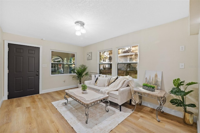 living room with light hardwood / wood-style floors