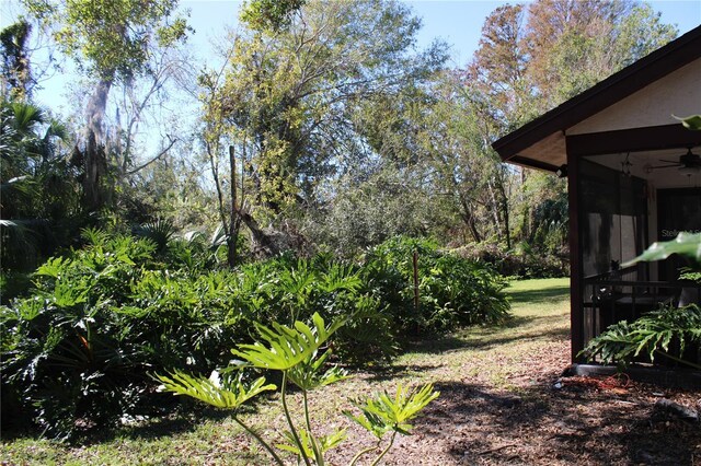 view of yard with a sunroom and ceiling fan