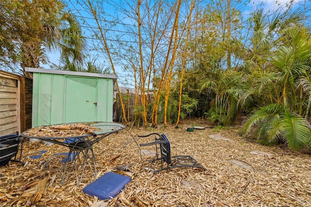 view of yard featuring a storage unit