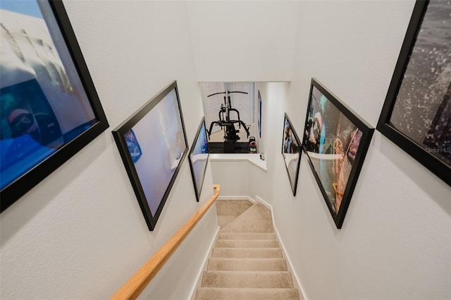 stairs with carpet floors