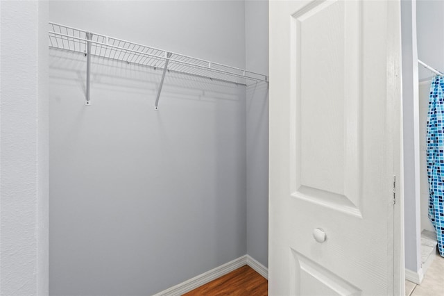 3611 19th St N, Saint Petersburg, FL 33713 - view of walk in closet