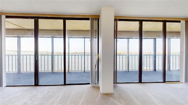 carpeted empty room featuring a water view