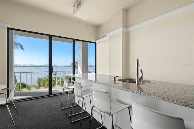 kitchen with light stone countertops, sink, a water view, and dark colored carpet